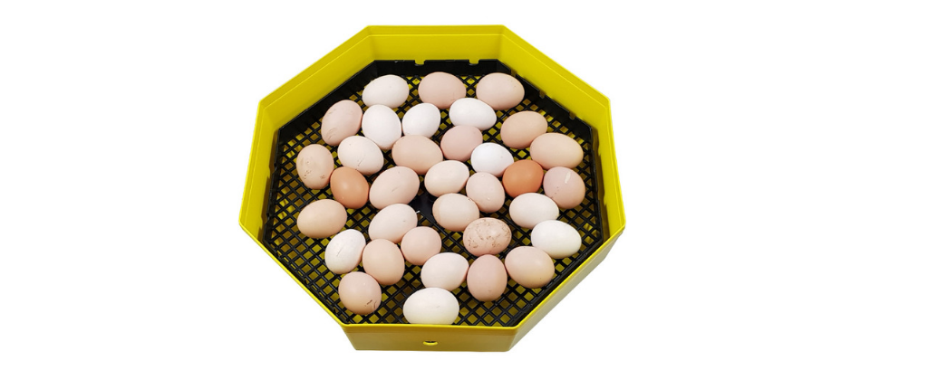 Systém otáčení vajec CLEO 5 T pic